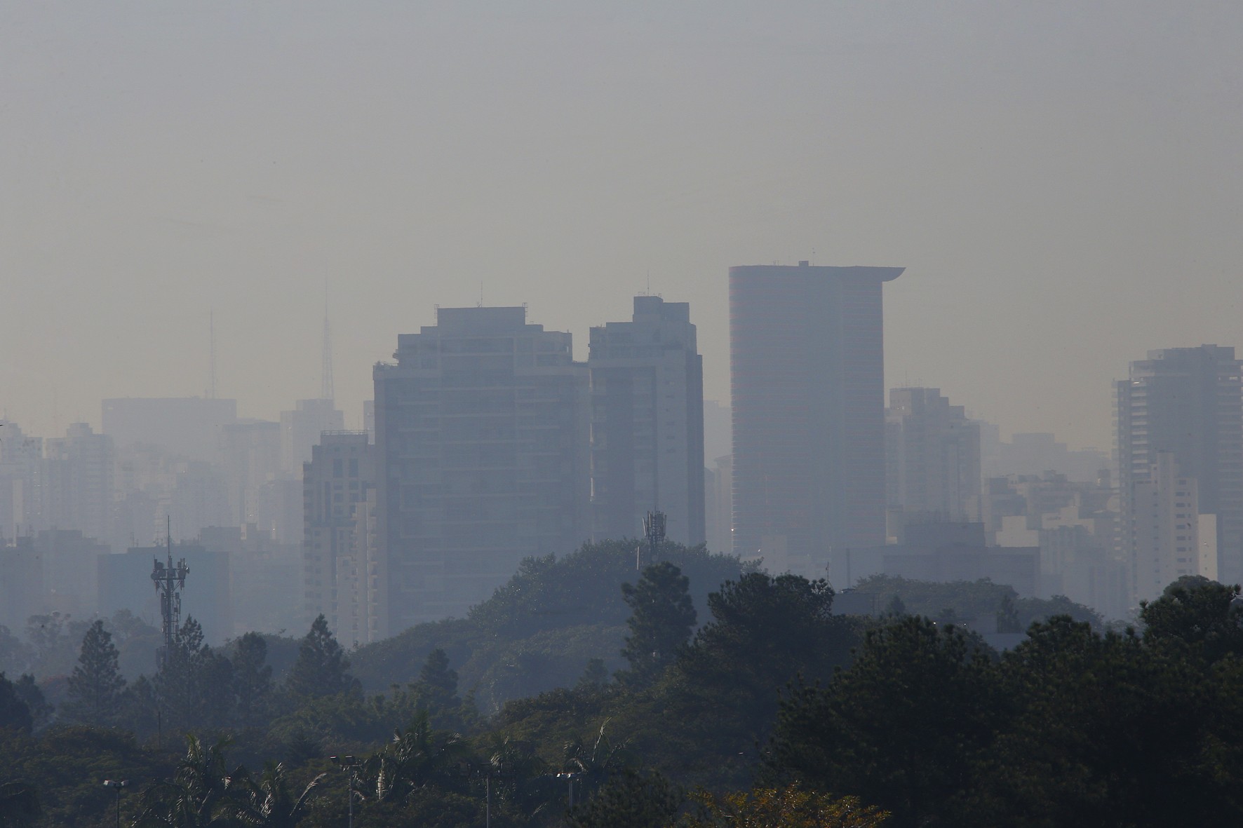 Detalhe de árvores em primeiro plano e ao fundo vista da poluição na cidade de São Paulo. Foto: Marcos Santos/USP Imagens