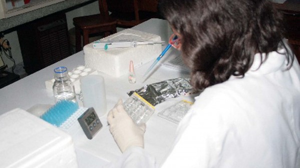 Cursos de pos graduacao usp